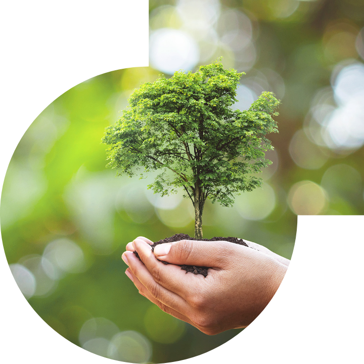 关怀人类、文化、环境与社会